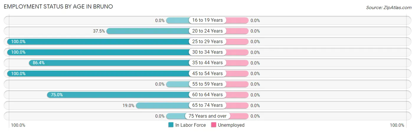 Employment Status by Age in Bruno