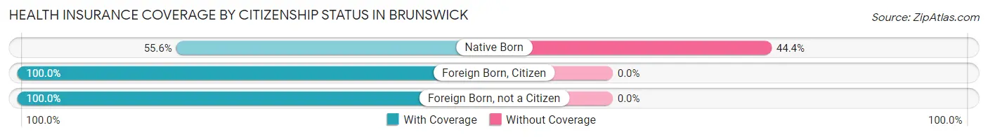 Health Insurance Coverage by Citizenship Status in Brunswick