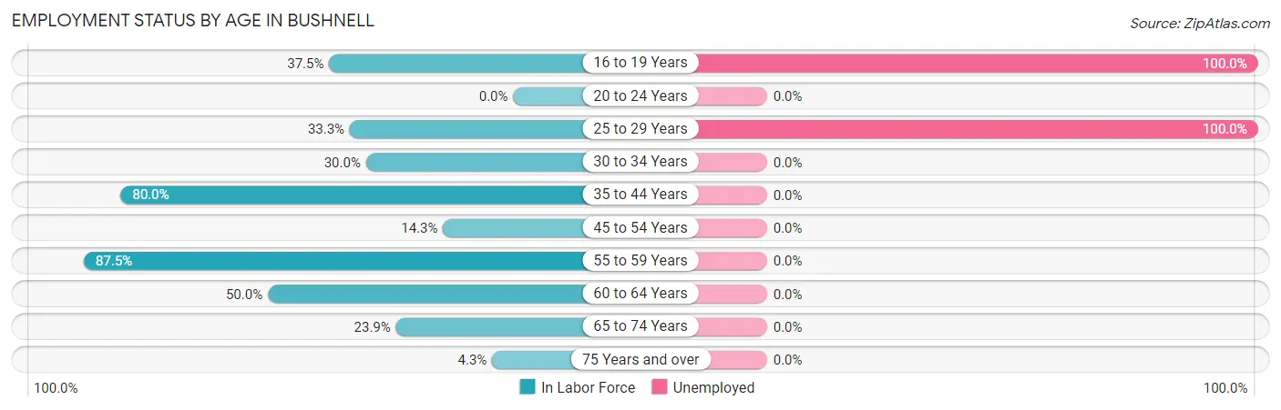 Employment Status by Age in Bushnell