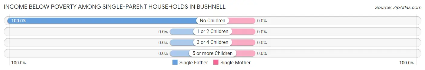 Income Below Poverty Among Single-Parent Households in Bushnell