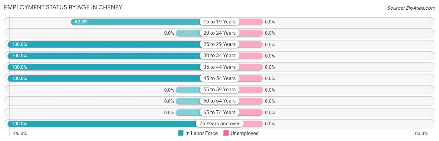 Employment Status by Age in Cheney