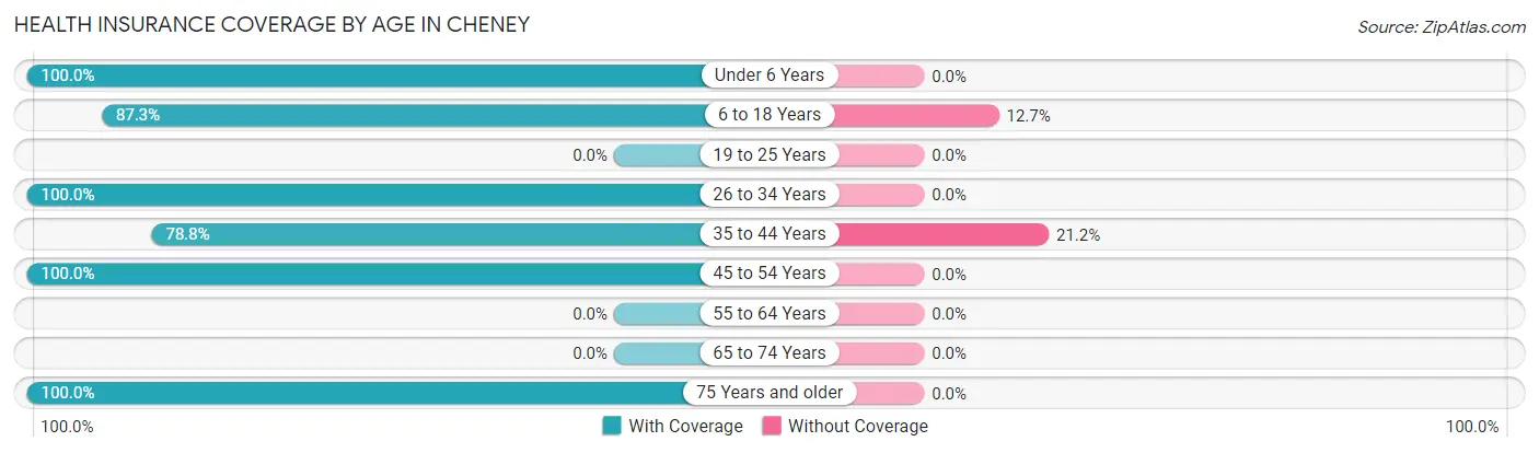Health Insurance Coverage by Age in Cheney