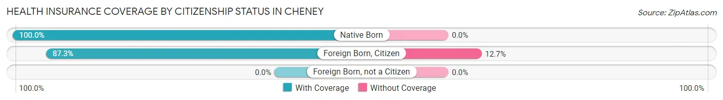Health Insurance Coverage by Citizenship Status in Cheney