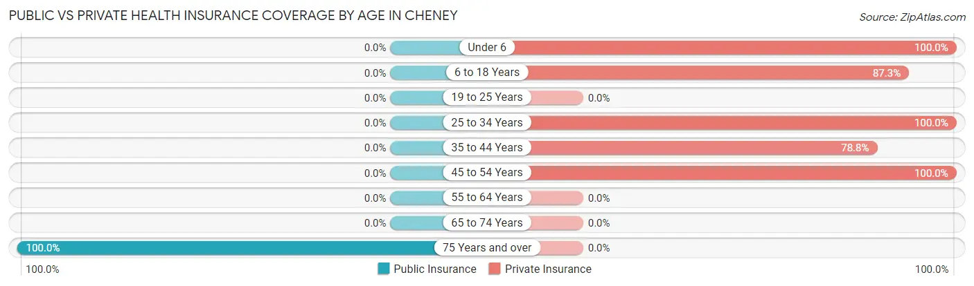 Public vs Private Health Insurance Coverage by Age in Cheney