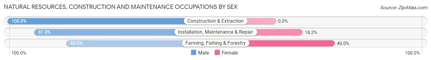 Natural Resources, Construction and Maintenance Occupations by Sex in Curtis