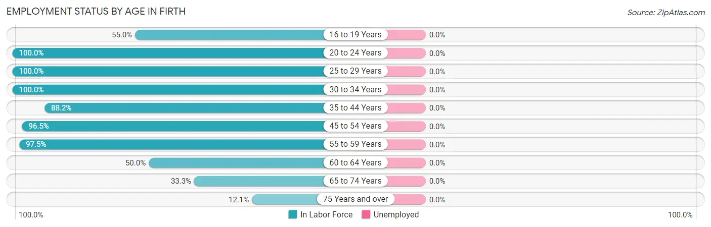Employment Status by Age in Firth