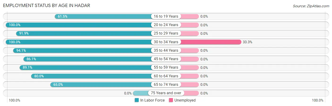 Employment Status by Age in Hadar