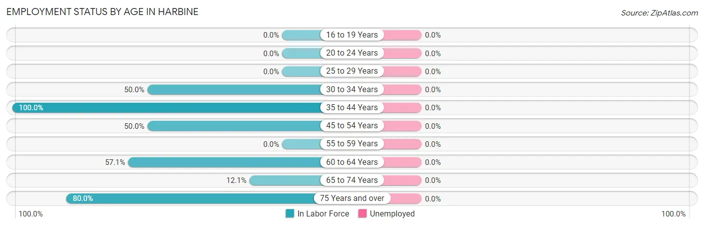 Employment Status by Age in Harbine