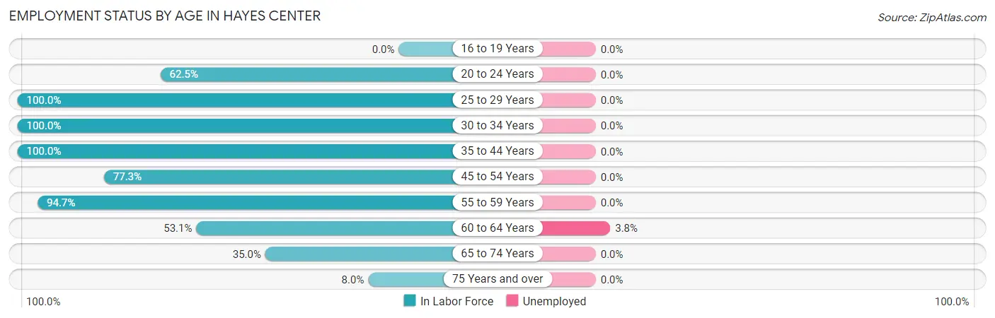 Employment Status by Age in Hayes Center