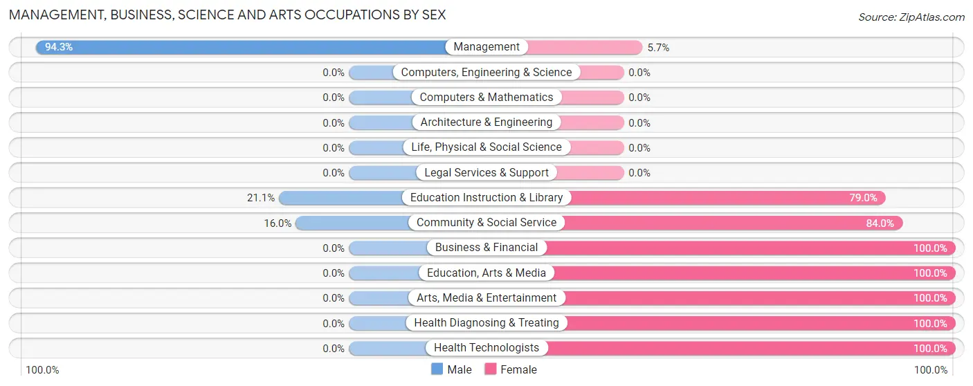 Management, Business, Science and Arts Occupations by Sex in Hayes Center