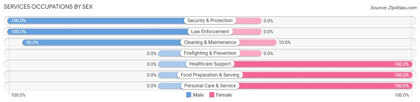 Services Occupations by Sex in Hayes Center