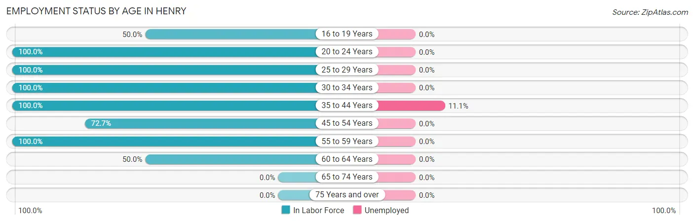 Employment Status by Age in Henry