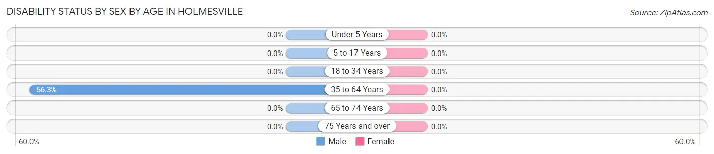 Disability Status by Sex by Age in Holmesville