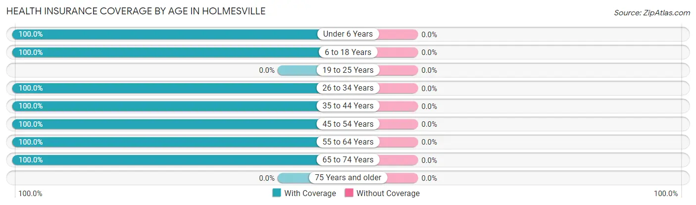 Health Insurance Coverage by Age in Holmesville