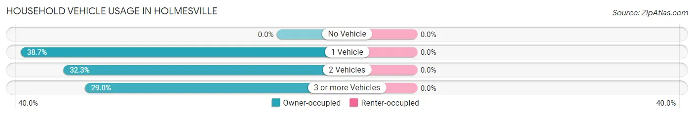 Household Vehicle Usage in Holmesville