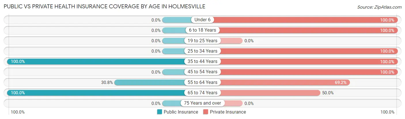 Public vs Private Health Insurance Coverage by Age in Holmesville