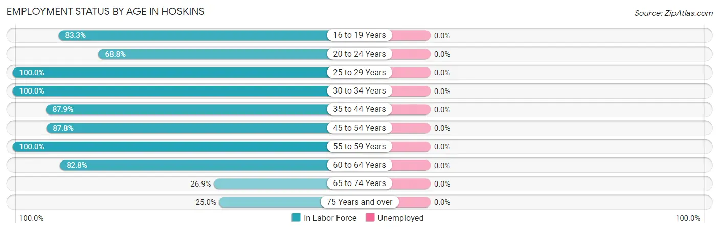Employment Status by Age in Hoskins