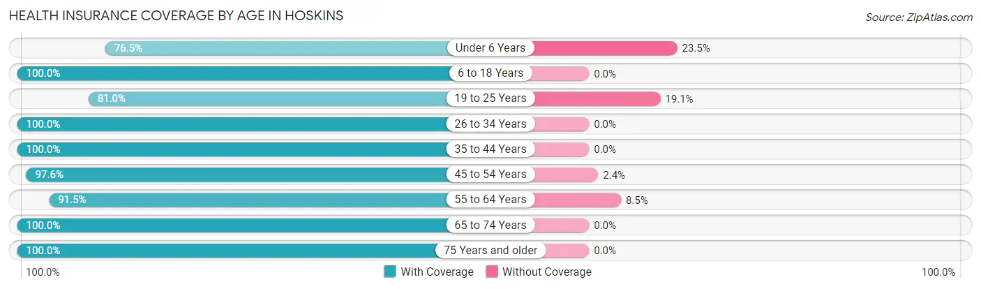 Health Insurance Coverage by Age in Hoskins