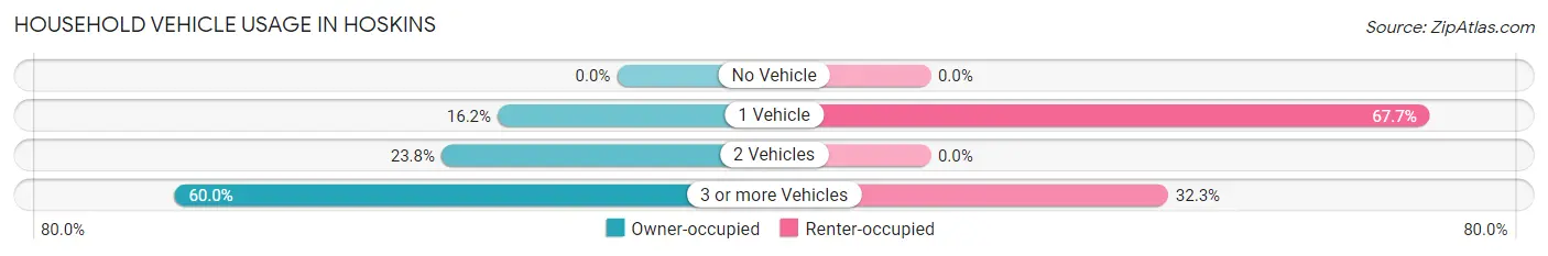 Household Vehicle Usage in Hoskins