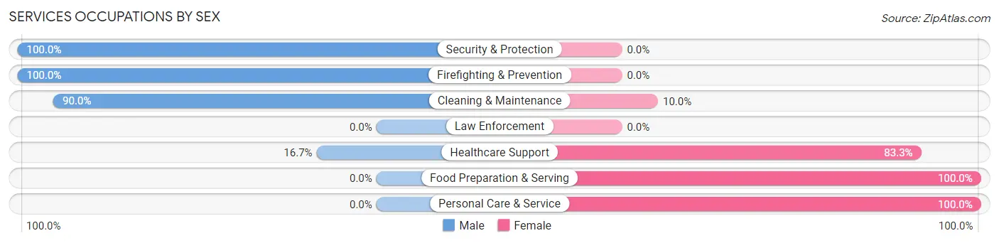 Services Occupations by Sex in Hoskins