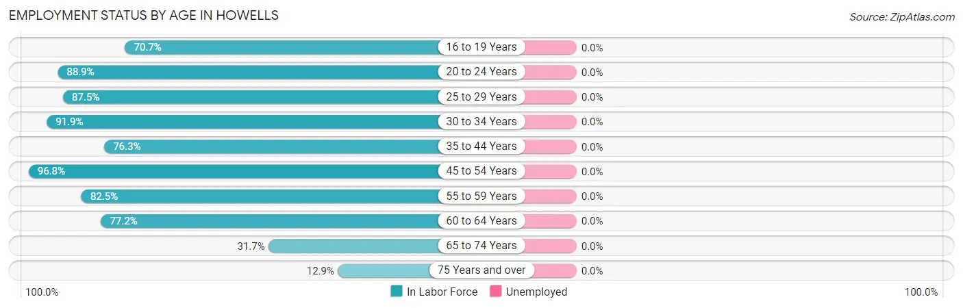 Employment Status by Age in Howells