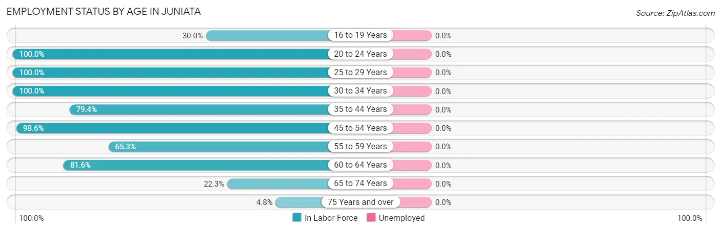 Employment Status by Age in Juniata