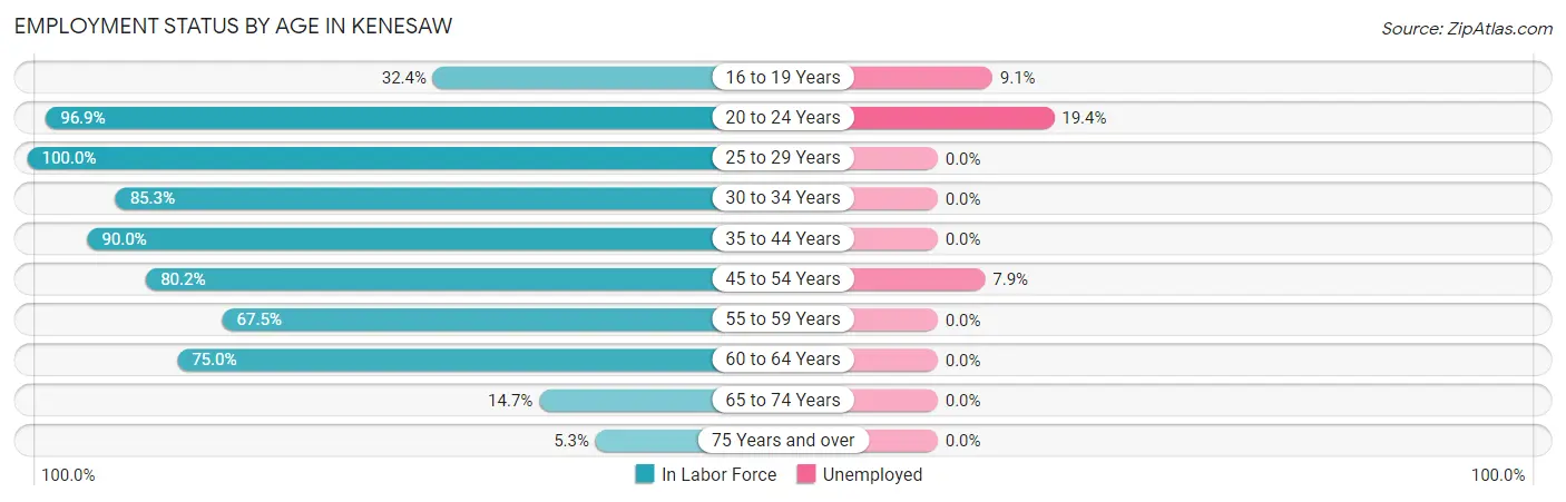 Employment Status by Age in Kenesaw