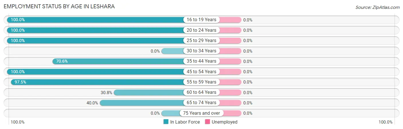 Employment Status by Age in Leshara