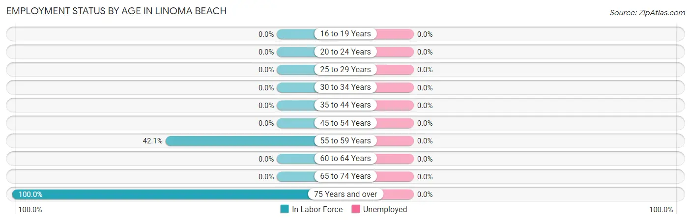 Employment Status by Age in Linoma Beach