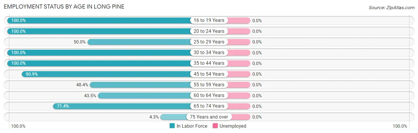 Employment Status by Age in Long Pine