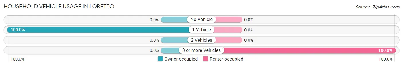 Household Vehicle Usage in Loretto