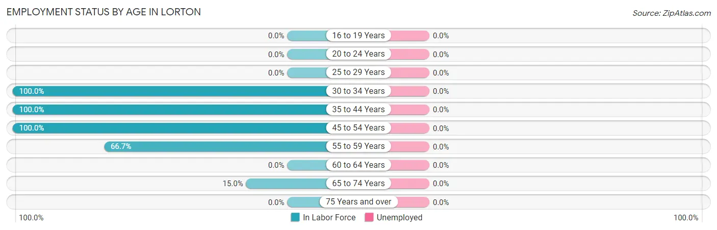 Employment Status by Age in Lorton