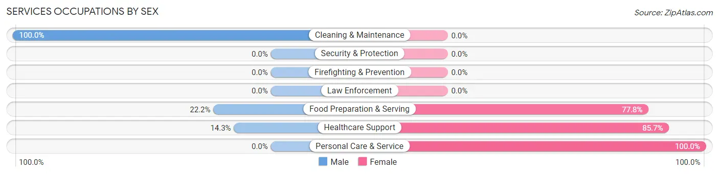 Services Occupations by Sex in Madrid