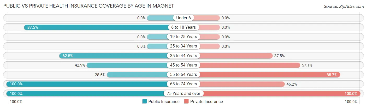 Public vs Private Health Insurance Coverage by Age in Magnet