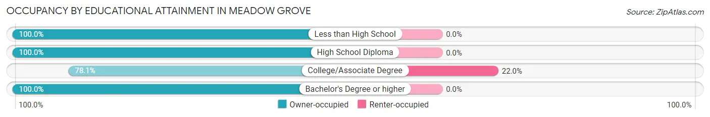 Occupancy by Educational Attainment in Meadow Grove