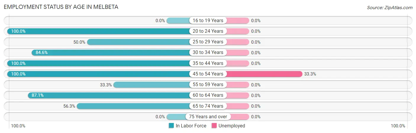 Employment Status by Age in Melbeta