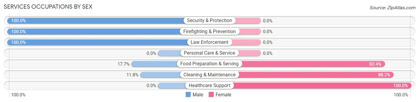 Services Occupations by Sex in Nelson