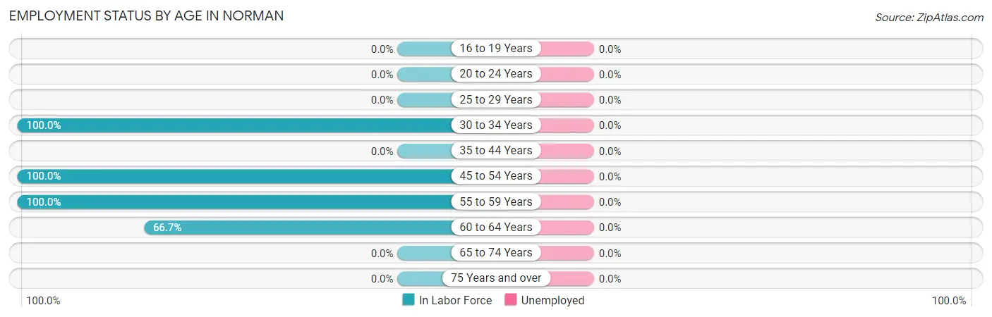 Employment Status by Age in Norman