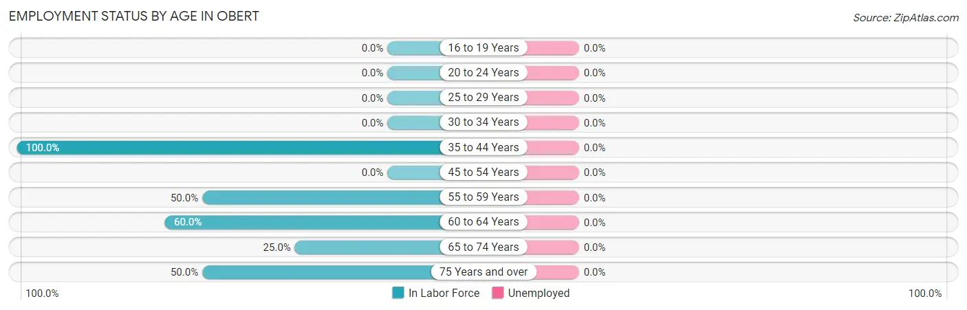 Employment Status by Age in Obert