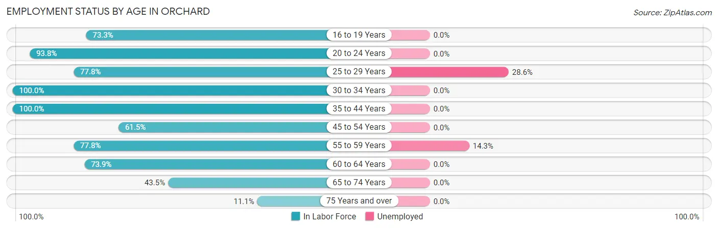 Employment Status by Age in Orchard