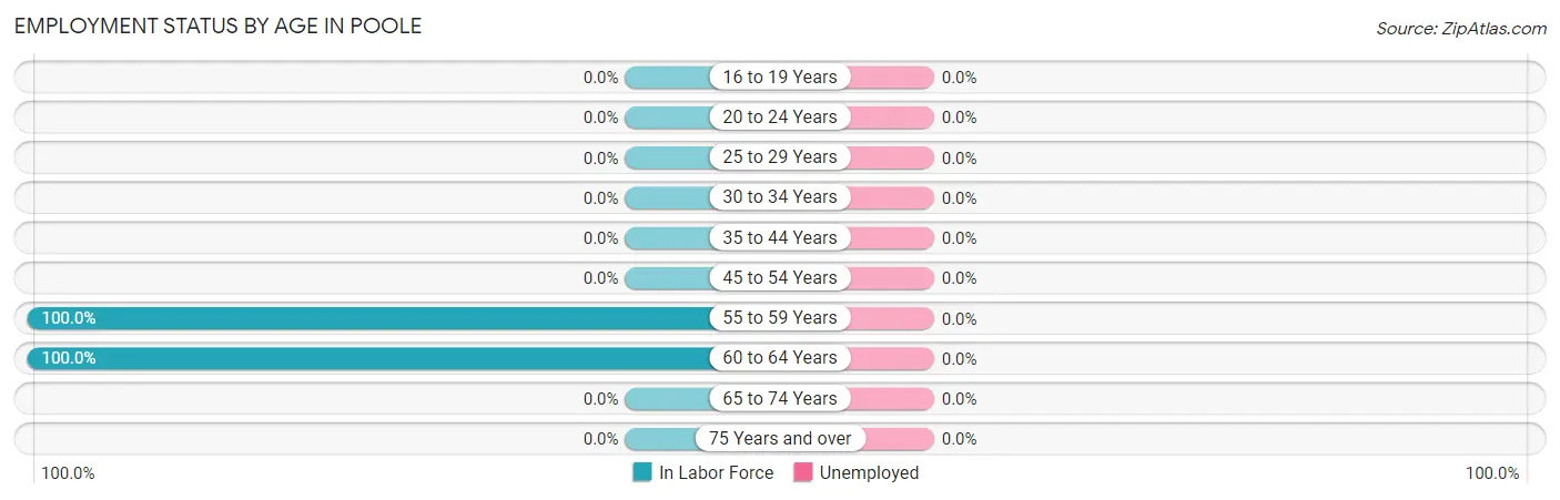 Employment Status by Age in Poole