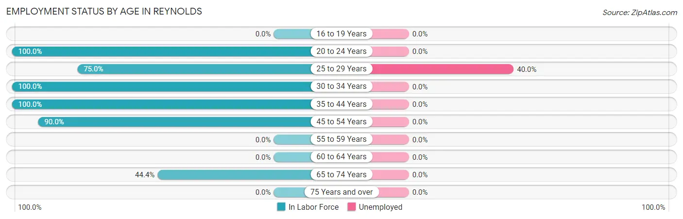 Employment Status by Age in Reynolds