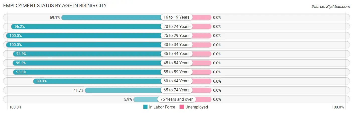 Employment Status by Age in Rising City
