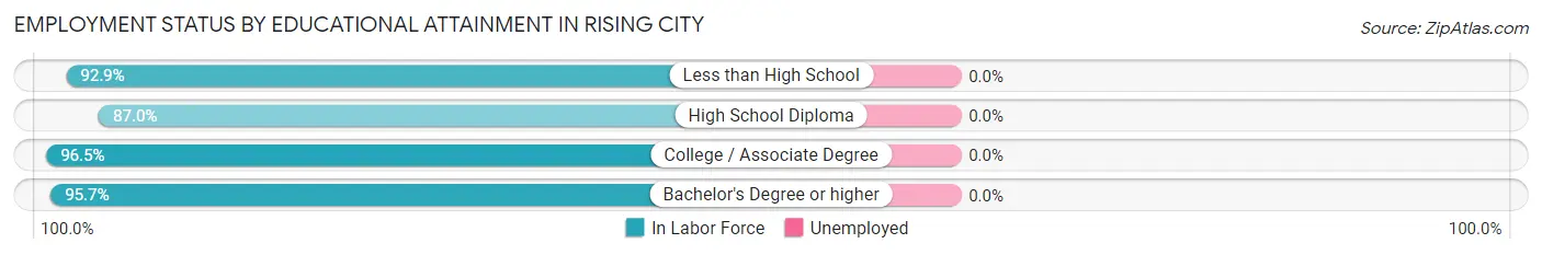 Employment Status by Educational Attainment in Rising City