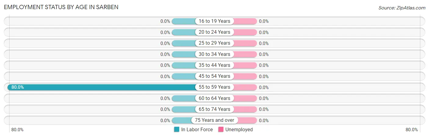 Employment Status by Age in Sarben