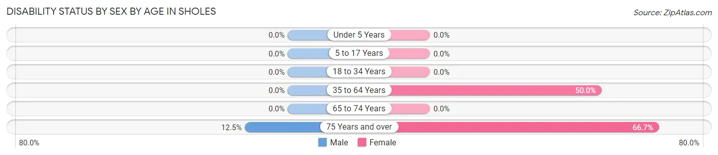 Disability Status by Sex by Age in Sholes