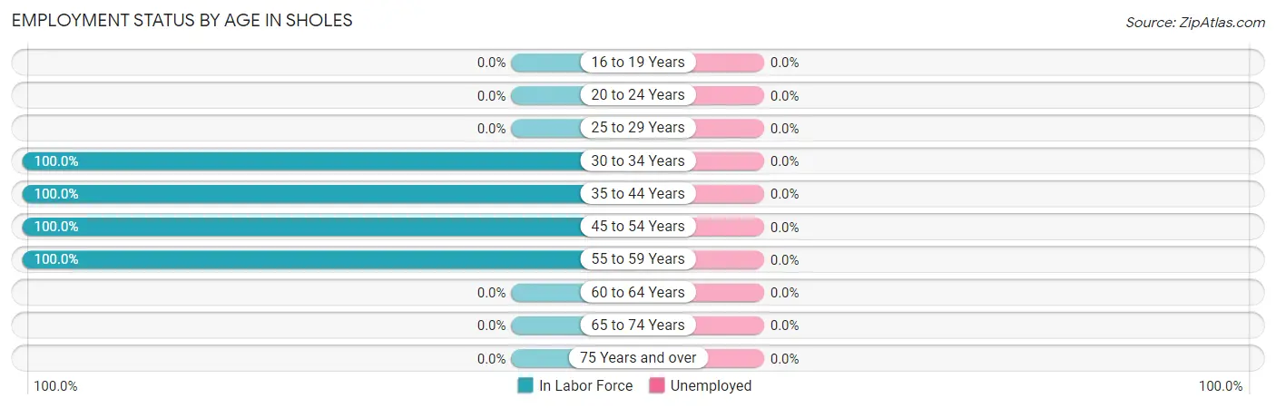 Employment Status by Age in Sholes