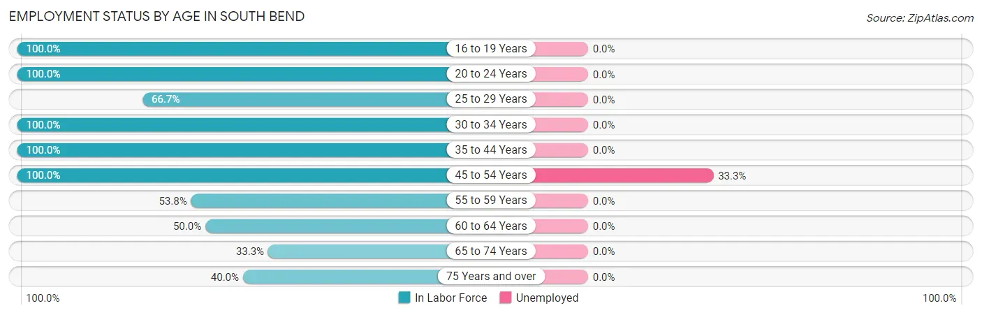 Employment Status by Age in South Bend