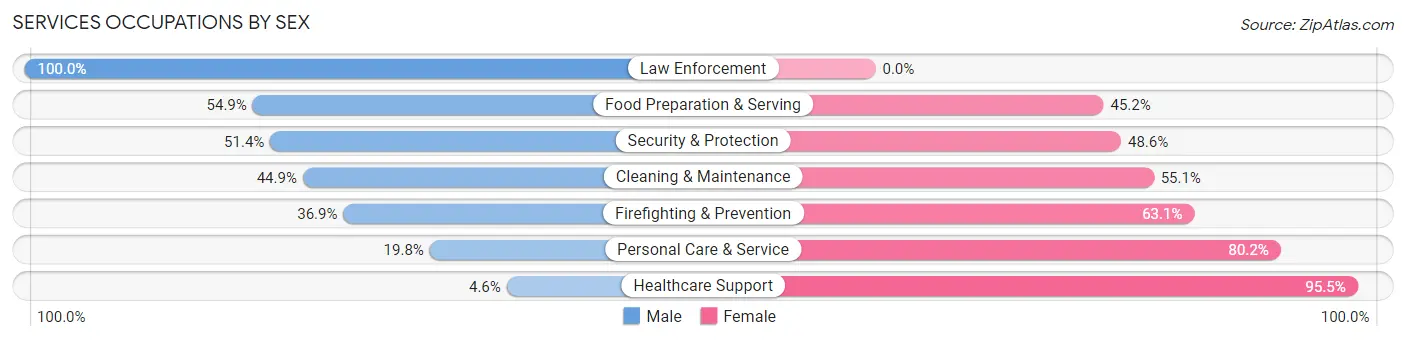 Services Occupations by Sex in South Sioux City