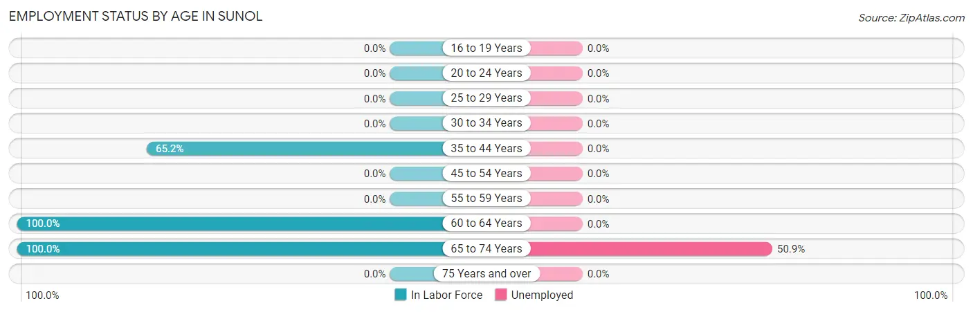 Employment Status by Age in Sunol